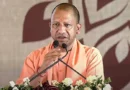 Yogi Adityanath Says UP Has Moved From Curfews and Riots to Development